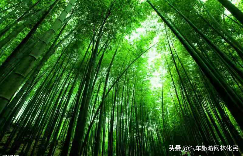 美丽的日照竹洞天风景区