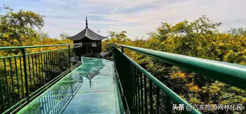 美丽的日照竹洞天风景区